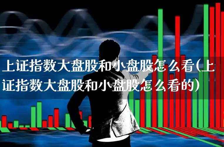 上证指数大盘股和小盘股怎么看(上证指数大盘股和小盘股怎么看的)_https://www.ljyuan-tech.com_科创板_第1张