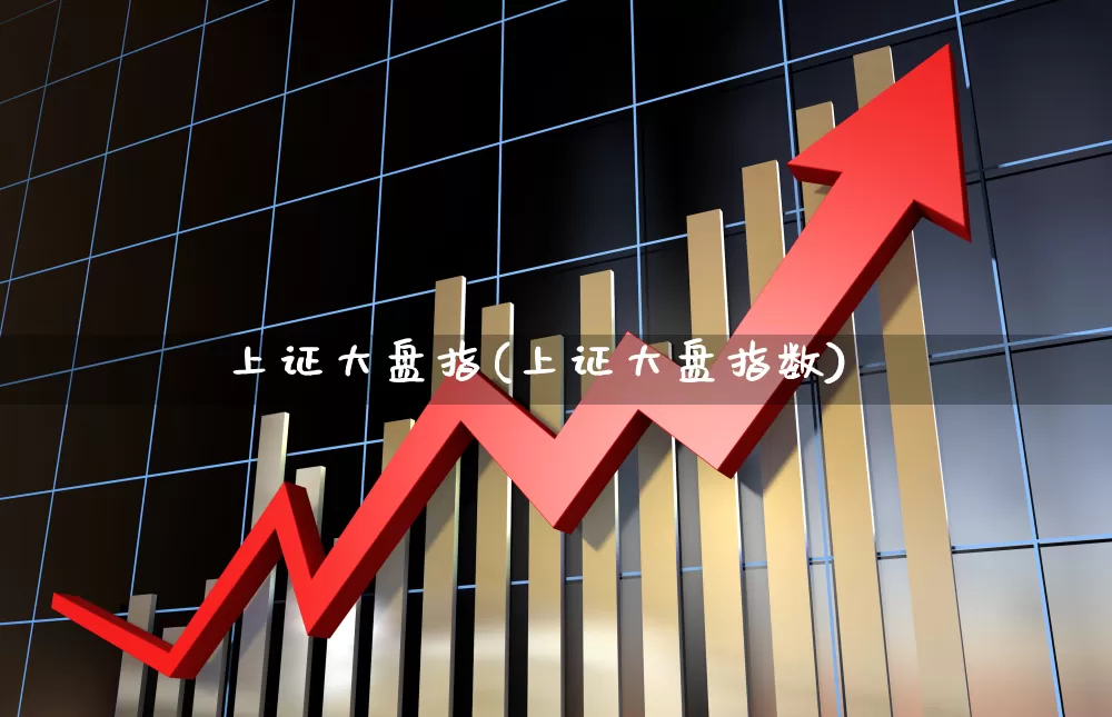 上证大盘指(上证大盘指数)_https://www.ljyuan-tech.com_科创板_第1张