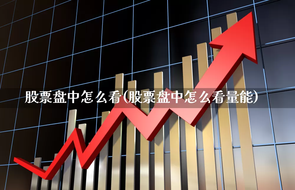股票盘中怎么看(股票盘中怎么看量能)_https://www.ljyuan-tech.com_创业板_第1张