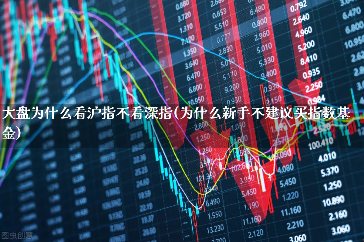 大盘为什么看沪指不看深指(为什么新手不建议买指数基金)_https://www.ljyuan-tech.com_科创板_第1张