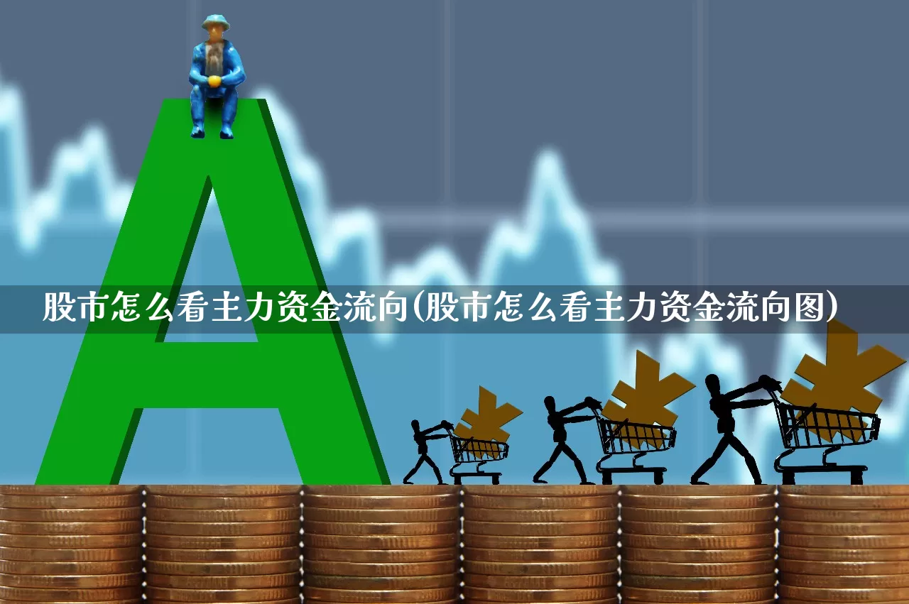 股市怎么看主力资金流向(股市怎么看主力资金流向图)_https://www.ljyuan-tech.com_上交所_第1张