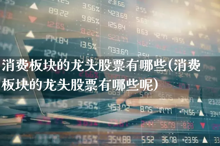 消费板块的龙头股票有哪些(消费板块的龙头股票有哪些呢)_https://www.ljyuan-tech.com_北交所_第1张