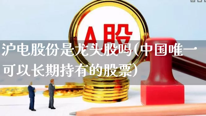 沪电股份是龙头股吗(中国唯一可以长期持有的股票)_https://www.ljyuan-tech.com_上交所_第1张