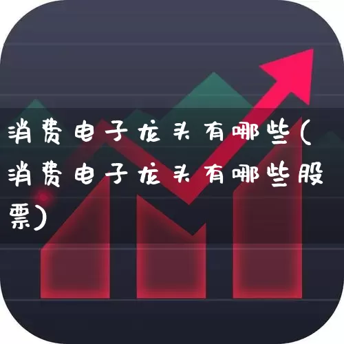 消费电子龙头有哪些(消费电子龙头有哪些股票)_https://www.ljyuan-tech.com_创业板_第1张