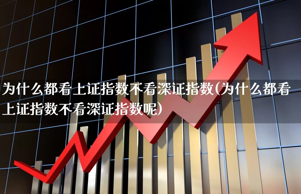 为什么都看上证指数不看深证指数(为什么都看上证指数不看深证指数呢)_https://www.ljyuan-tech.com_北交所_第1张