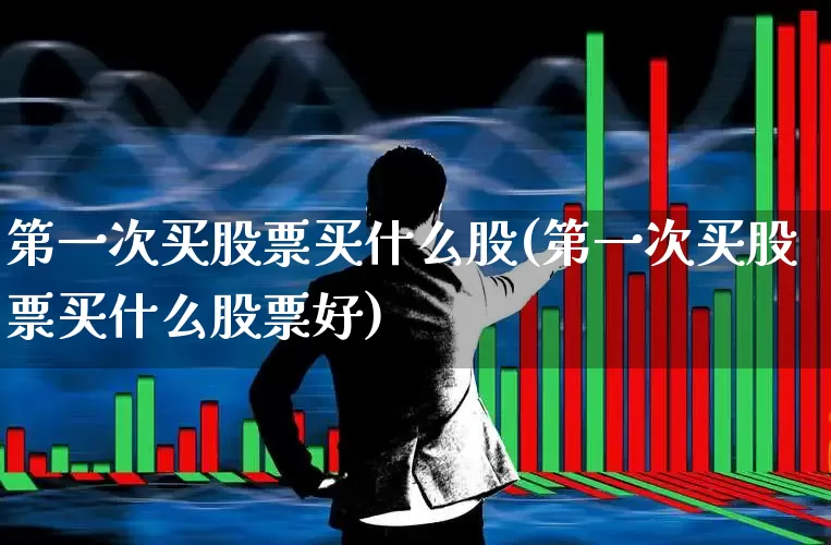 第一次买股票买什么股(第一次买股票买什么股票好)_https://www.ljyuan-tech.com_创业板_第1张