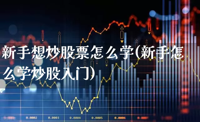 新手想炒股票怎么学(新手怎么学炒股入门)_https://www.ljyuan-tech.com_北交所_第1张