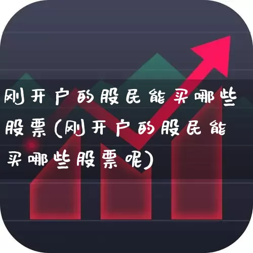刚开户的股民能买哪些股票(刚开户的股民能买哪些股票呢)_https://www.ljyuan-tech.com_上交所_第1张