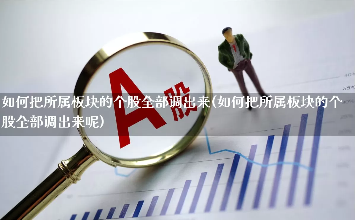 如何把所属板块的个股全部调出来(如何把所属板块的个股全部调出来呢)_https://www.ljyuan-tech.com_科创板_第1张