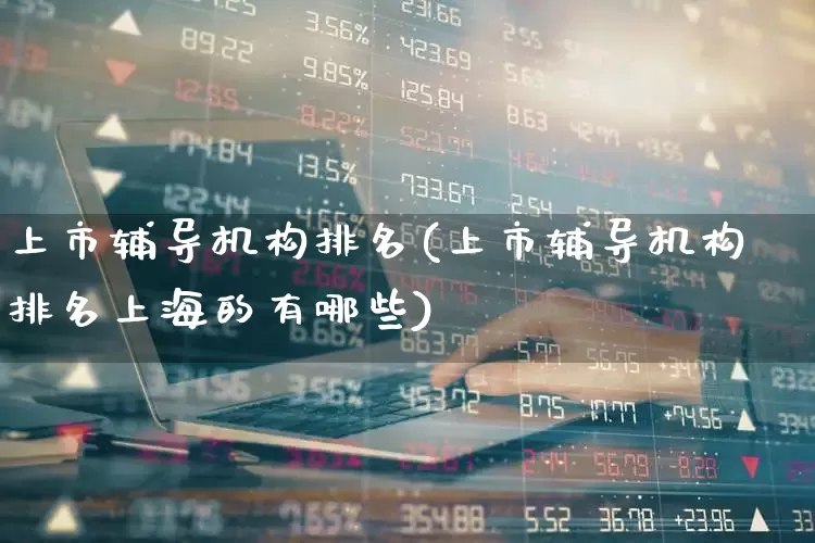 上市辅导机构排名(上市辅导机构排名上海的有哪些)_https://www.ljyuan-tech.com_北交所_第1张