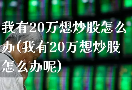 我有20万想炒股怎么办(我有20万想炒股怎么办呢)_https://www.ljyuan-tech.com_北交所_第1张