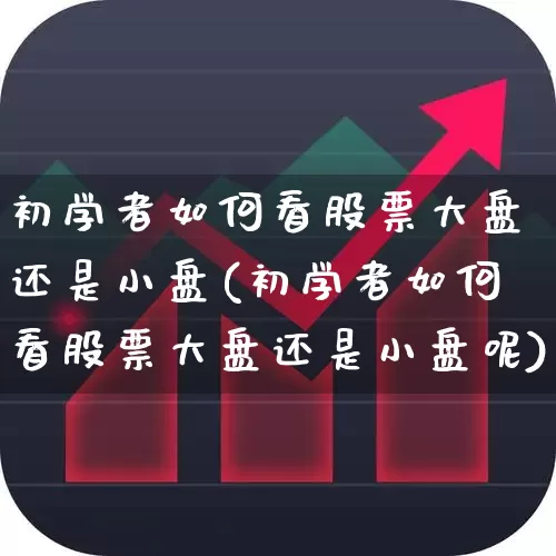 初学者如何看股票大盘还是小盘(初学者如何看股票大盘还是小盘呢)_https://www.ljyuan-tech.com_北交所_第1张