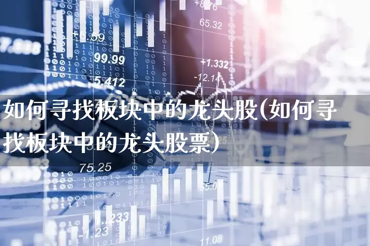 如何寻找板块中的龙头股(如何寻找板块中的龙头股票)_https://www.ljyuan-tech.com_科创板_第1张