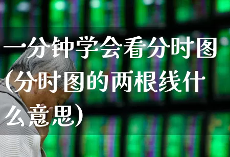 一分钟学会看分时图(分时图的两根线什么意思)_https://www.ljyuan-tech.com_科创板_第1张