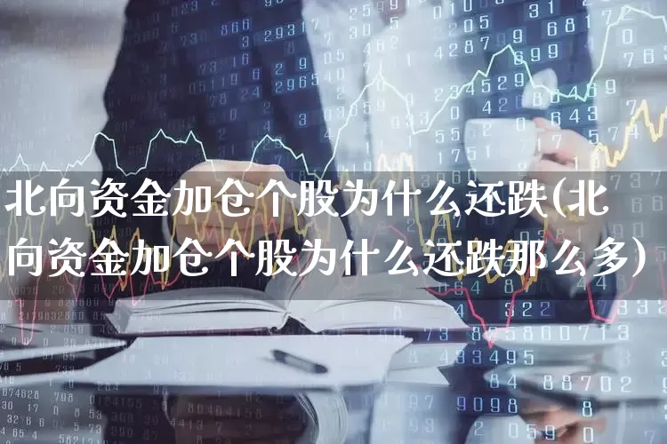 北向资金加仓个股为什么还跌(北向资金加仓个股为什么还跌那么多)_https://www.ljyuan-tech.com_科创板_第1张
