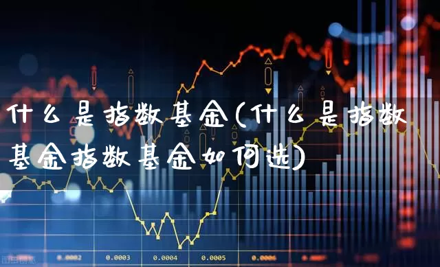什么是指数基金(什么是指数基金指数基金如何选)_https://www.ljyuan-tech.com_深交所_第1张
