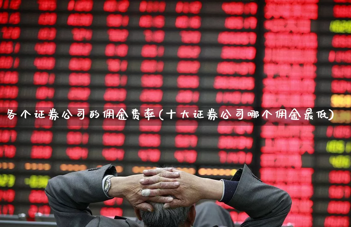 各个证券公司的佣金费率(十大证券公司哪个佣金最低)_https://www.ljyuan-tech.com_科创板_第1张
