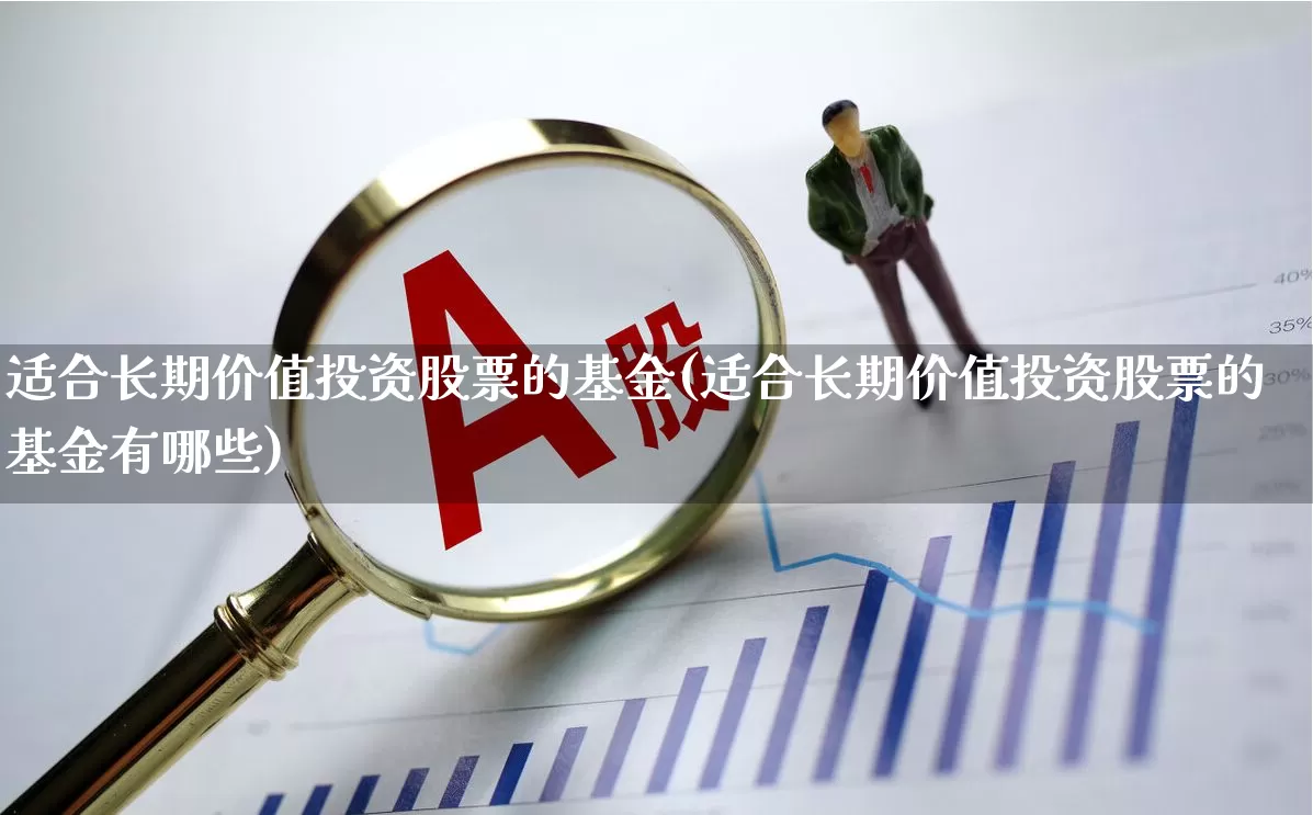 适合长期价值投资股票的基金(适合长期价值投资股票的基金有哪些)_https://www.ljyuan-tech.com_北交所_第1张