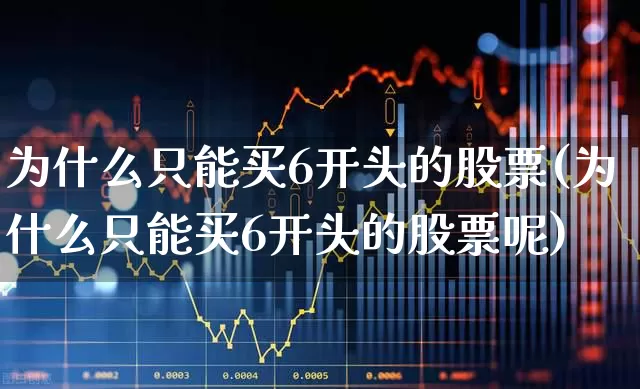 为什么只能买6开头的股票(为什么只能买6开头的股票呢)_https://www.ljyuan-tech.com_创业板_第1张