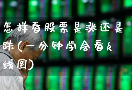 怎样看股票是涨还是跌(一分钟学会看k线图)_https://www.ljyuan-tech.com_上交所_第1张