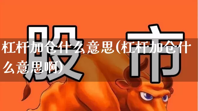杠杆加仓什么意思(杠杆加仓什么意思啊)_https://www.ljyuan-tech.com_深交所_第1张