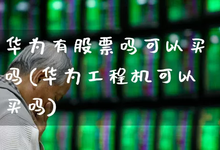 华为有股票吗可以买吗(华为工程机可以买吗)_https://www.ljyuan-tech.com_上交所_第1张
