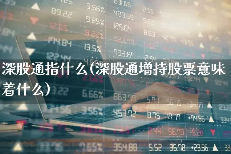 深股通指什么(深股通增持股票意味着什么)_https://www.ljyuan-tech.com_北交所_第1张