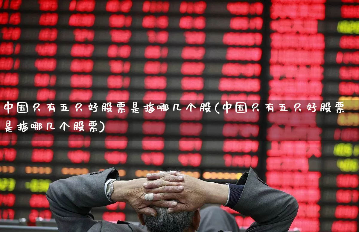 中国只有五只好股票是指哪几个股(中国只有五只好股票是指哪几个股票)_https://www.ljyuan-tech.com_深交所_第1张