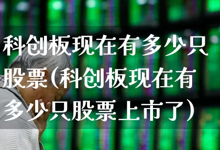 科创板现在有多少只股票(科创板现在有多少只股票上市了)_https://www.ljyuan-tech.com_科创板_第1张