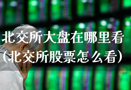 北交所大盘在哪里看(北交所股票怎么看)_https://www.ljyuan-tech.com_深交所_第1张