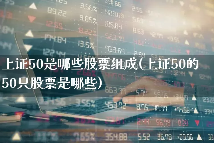 上证50是哪些股票组成(上证50的50只股票是哪些)_https://www.ljyuan-tech.com_科创板_第1张