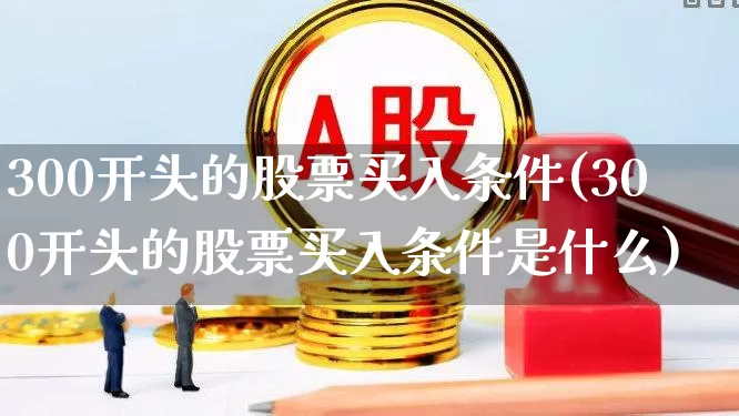 300开头的股票买入条件(300开头的股票买入条件是什么)_https://www.ljyuan-tech.com_科创板_第1张