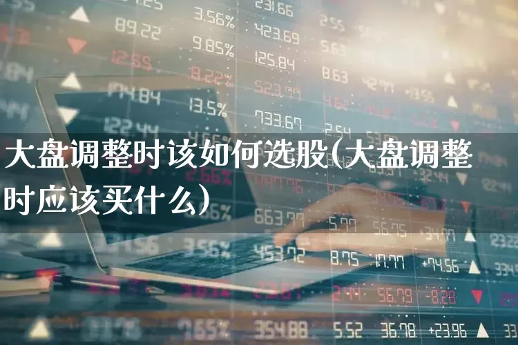 大盘调整时该如何选股(大盘调整时应该买什么)_https://www.ljyuan-tech.com_上交所_第1张
