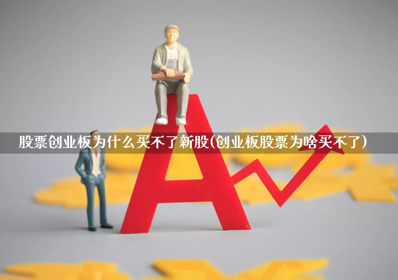 股票创业板为什么买不了新股(创业板股票为啥买不了)_https://www.ljyuan-tech.com_北交所_第1张