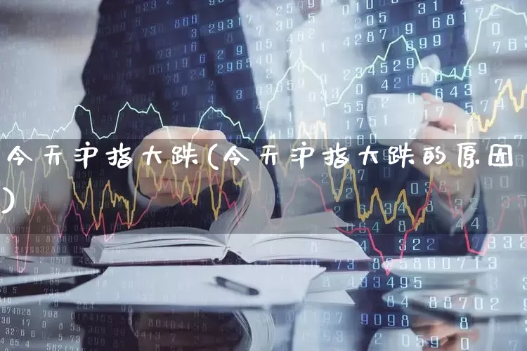今天沪指大跌(今天沪指大跌的原因)_https://www.ljyuan-tech.com_北交所_第1张