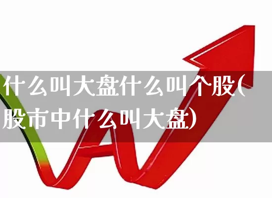 什么叫大盘什么叫个股(股市中什么叫大盘)_https://www.ljyuan-tech.com_上交所_第1张