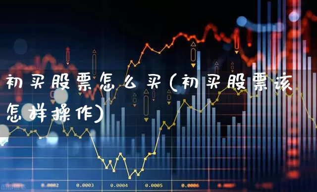 初买股票怎么买(初买股票该怎样操作)_https://www.ljyuan-tech.com_科创板_第1张