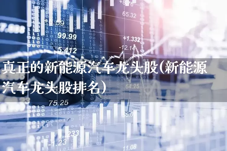 真正的新能源汽车龙头股(新能源汽车龙头股排名)_https://www.ljyuan-tech.com_上交所_第1张