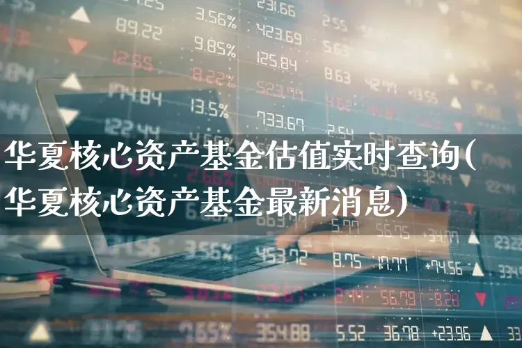 华夏核心资产基金估值实时查询(华夏核心资产基金最新消息)_https://www.ljyuan-tech.com_深交所_第1张