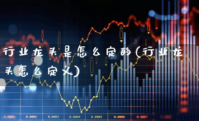 行业龙头是怎么定的(行业龙头怎么定义)_https://www.ljyuan-tech.com_深交所_第1张