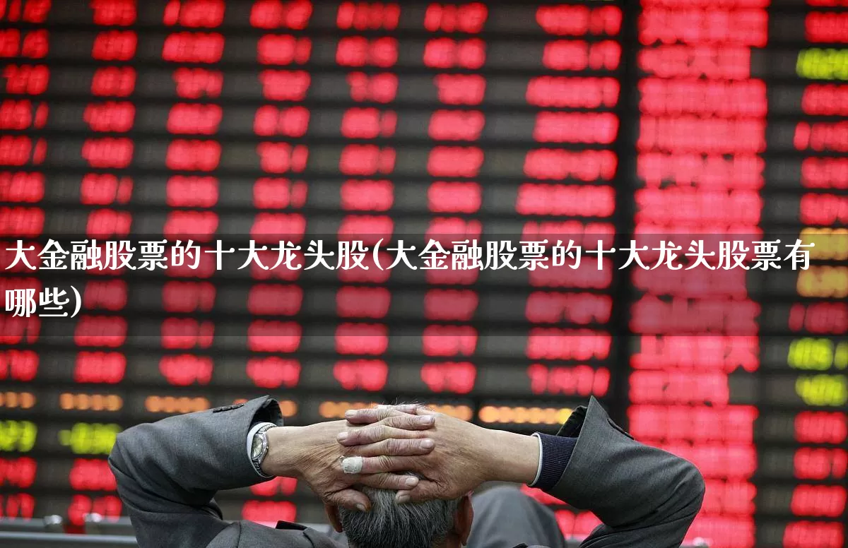 大金融股票的十大龙头股(大金融股票的十大龙头股票有哪些)_https://www.ljyuan-tech.com_深交所_第1张