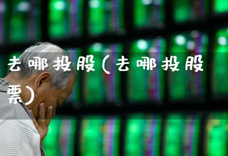 去哪投股(去哪投股票)_https://www.ljyuan-tech.com_深交所_第1张