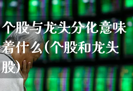 个股与龙头分化意味着什么(个股和龙头股)_https://www.ljyuan-tech.com_上交所_第1张