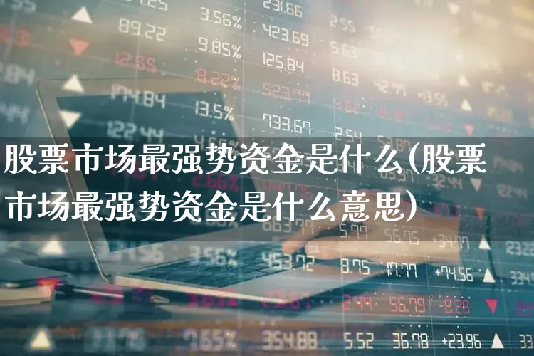 股票市场最强势资金是什么(股票市场最强势资金是什么意思)_https://www.ljyuan-tech.com_北交所_第1张