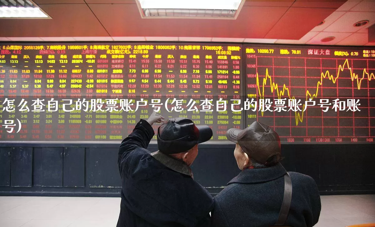 怎么查自己的股票账户号(怎么查自己的股票账户号和账号)_https://www.ljyuan-tech.com_科创板_第1张