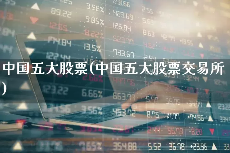 中国五大股票(中国五大股票交易所)_https://www.ljyuan-tech.com_北交所_第1张