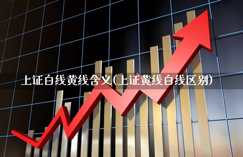 上证白线黄线含义(上证黄线白线区别)_https://www.ljyuan-tech.com_深交所_第1张