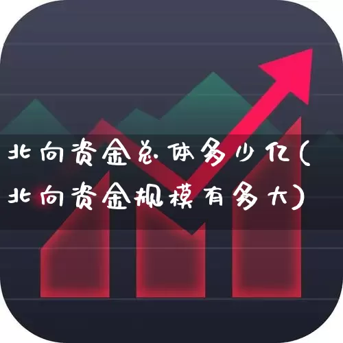 北向资金总体多少亿(北向资金规模有多大)_https://www.ljyuan-tech.com_深交所_第1张