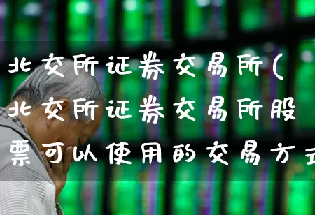 北交所证券交易所(北交所证券交易所股票可以使用的交易方式)_https://www.ljyuan-tech.com_上交所_第1张