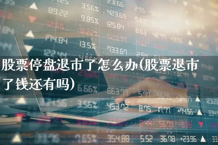 股票停盘退市了怎么办(股票退市了钱还有吗)_https://www.ljyuan-tech.com_深交所_第1张